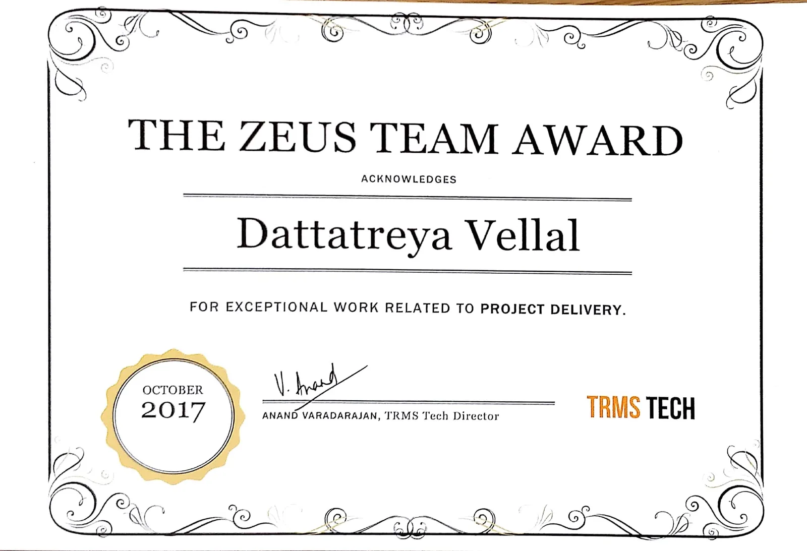 Certificate: Zeus Team Award for the risk-evaluation API